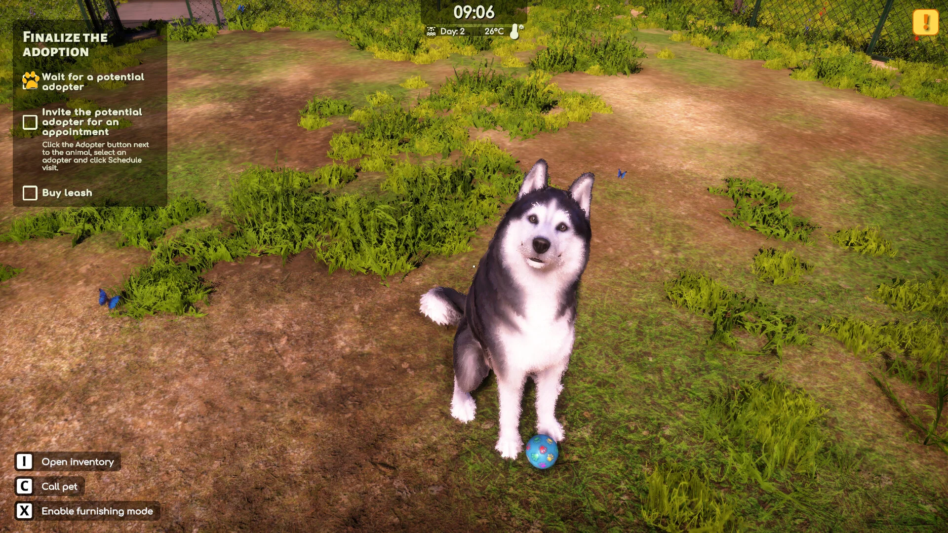 Animal Shelter 2 screenshot 14