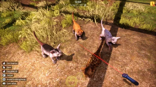 Animal Shelter 2 screenshot 9