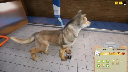 Animal Shelter screenshot 9