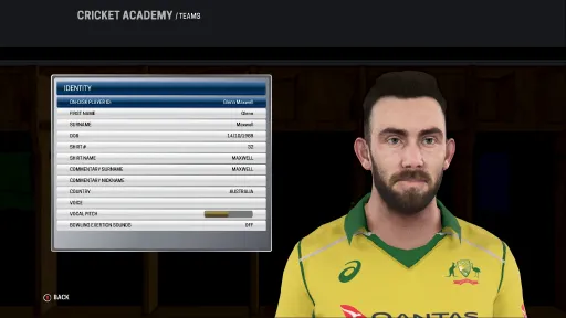 Ashes Cricket screenshot 8