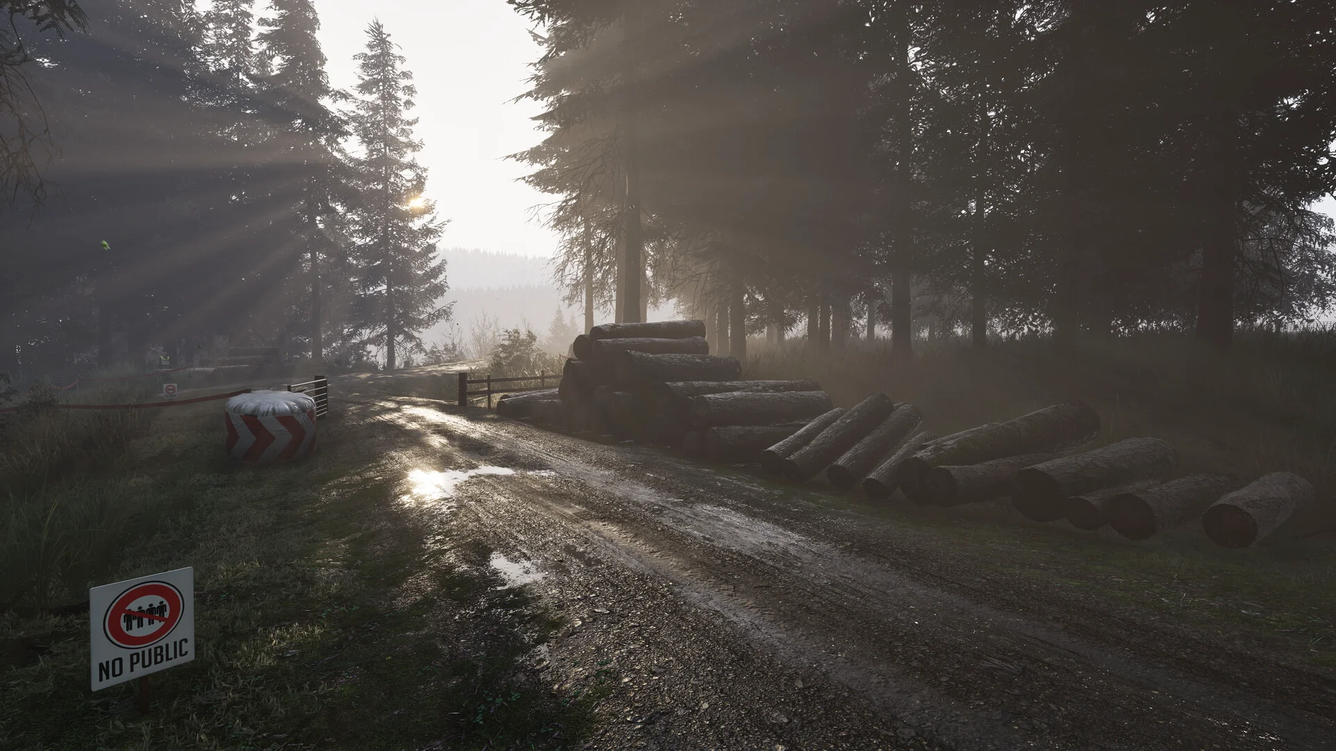 Assetto Corsa Rally screenshot 40