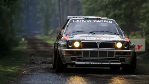 Assetto Corsa Rally screenshot 5