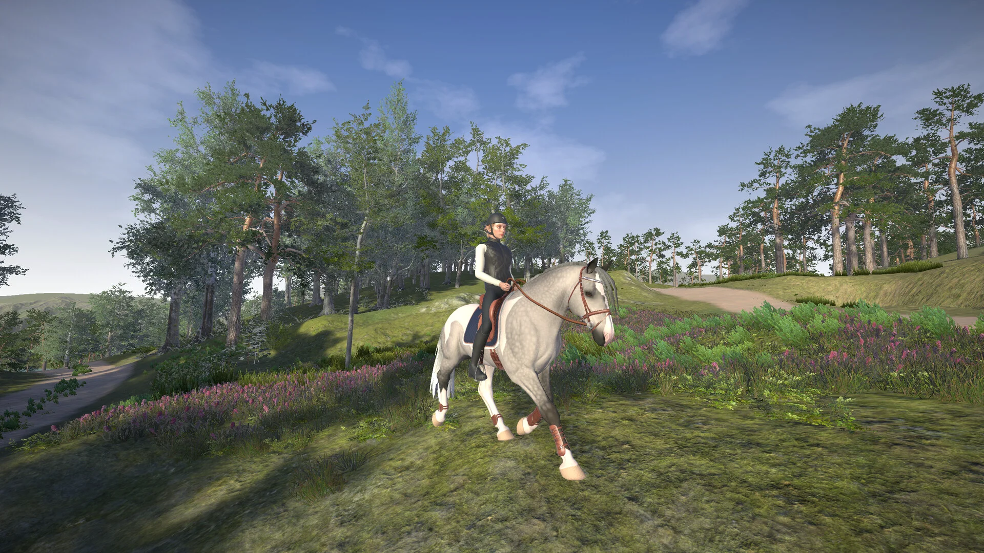 Astride screenshot 15