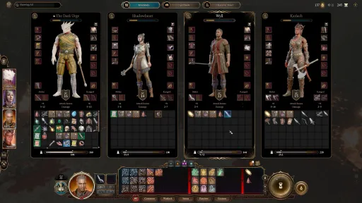Baldur's Gate 3 screenshot 19