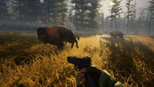 BIGFOOT screenshot 2