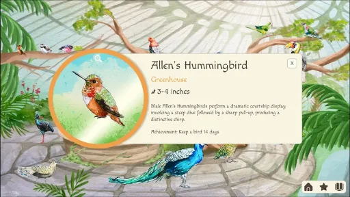 Birdfull screenshot 4