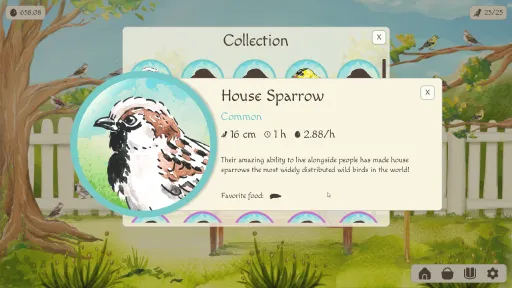 Birdfull screenshot 7
