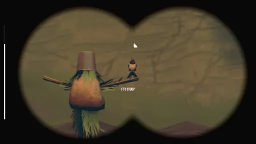 Birds Watching screenshot 14
