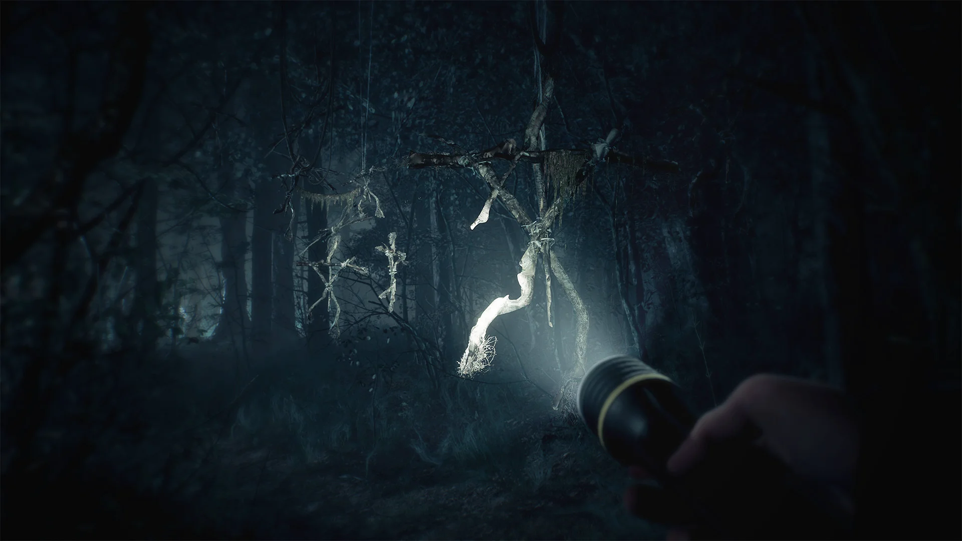 Blair Witch screenshot 2