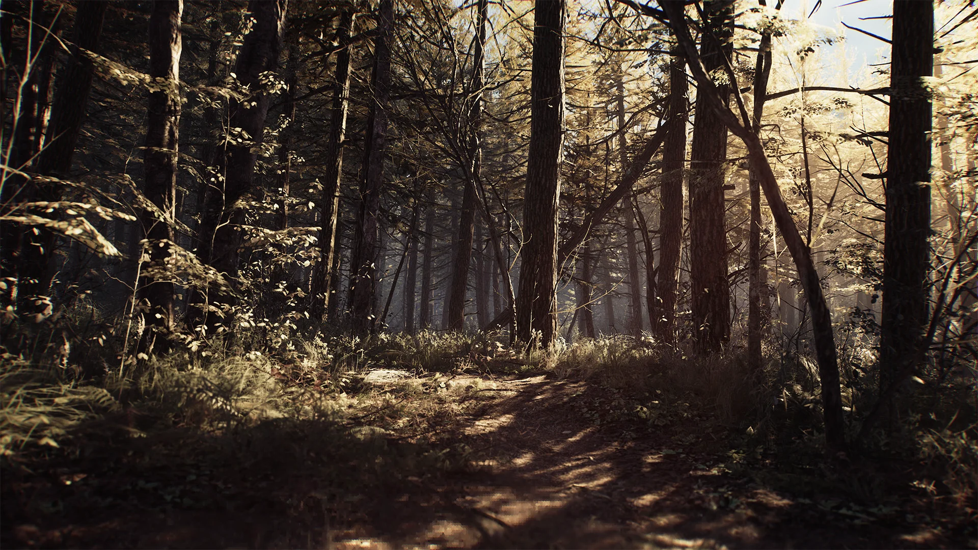 Blair Witch screenshot 3