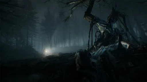 Blair Witch screenshot 7