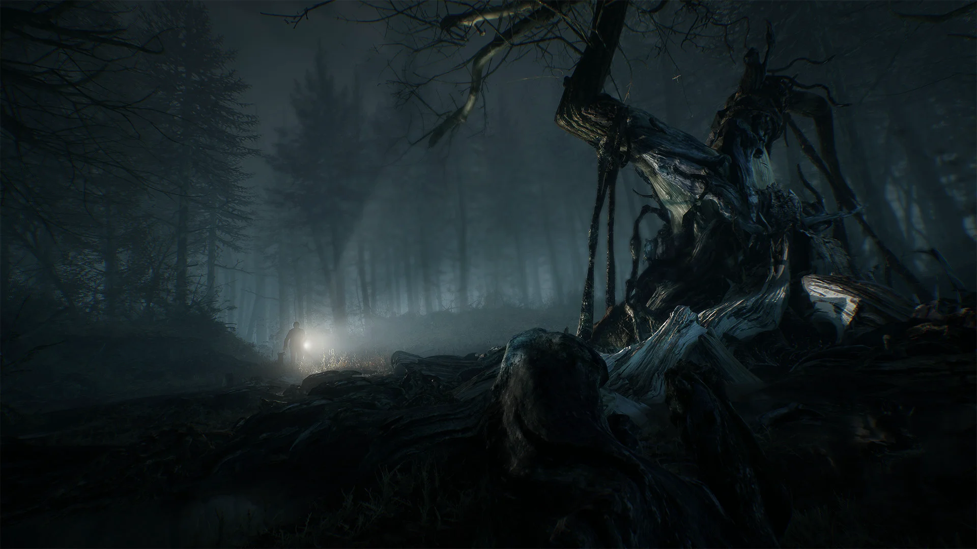 Blair Witch screenshot 7