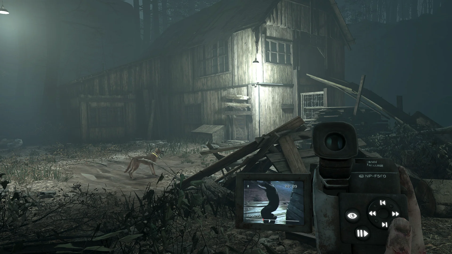 Blair Witch VR screenshot 2