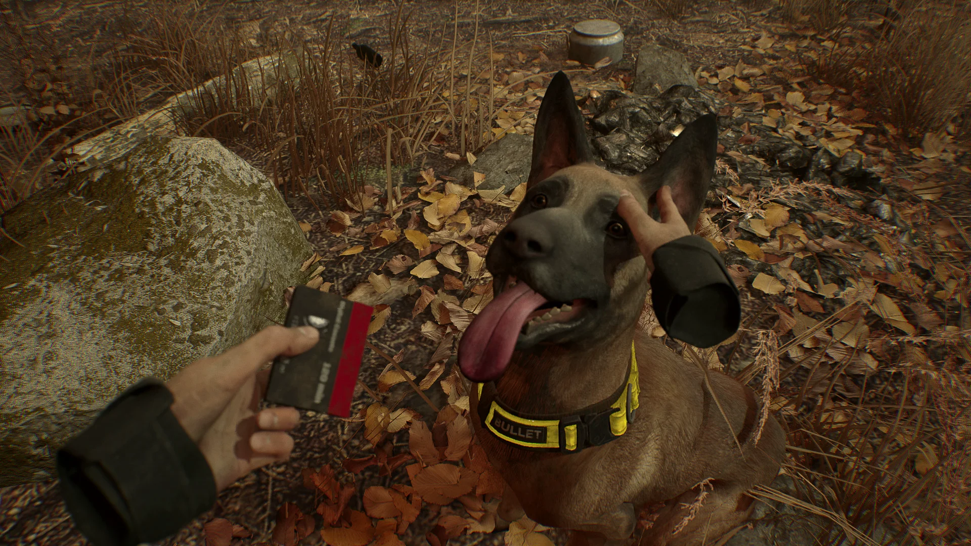 Blair Witch VR screenshot 8