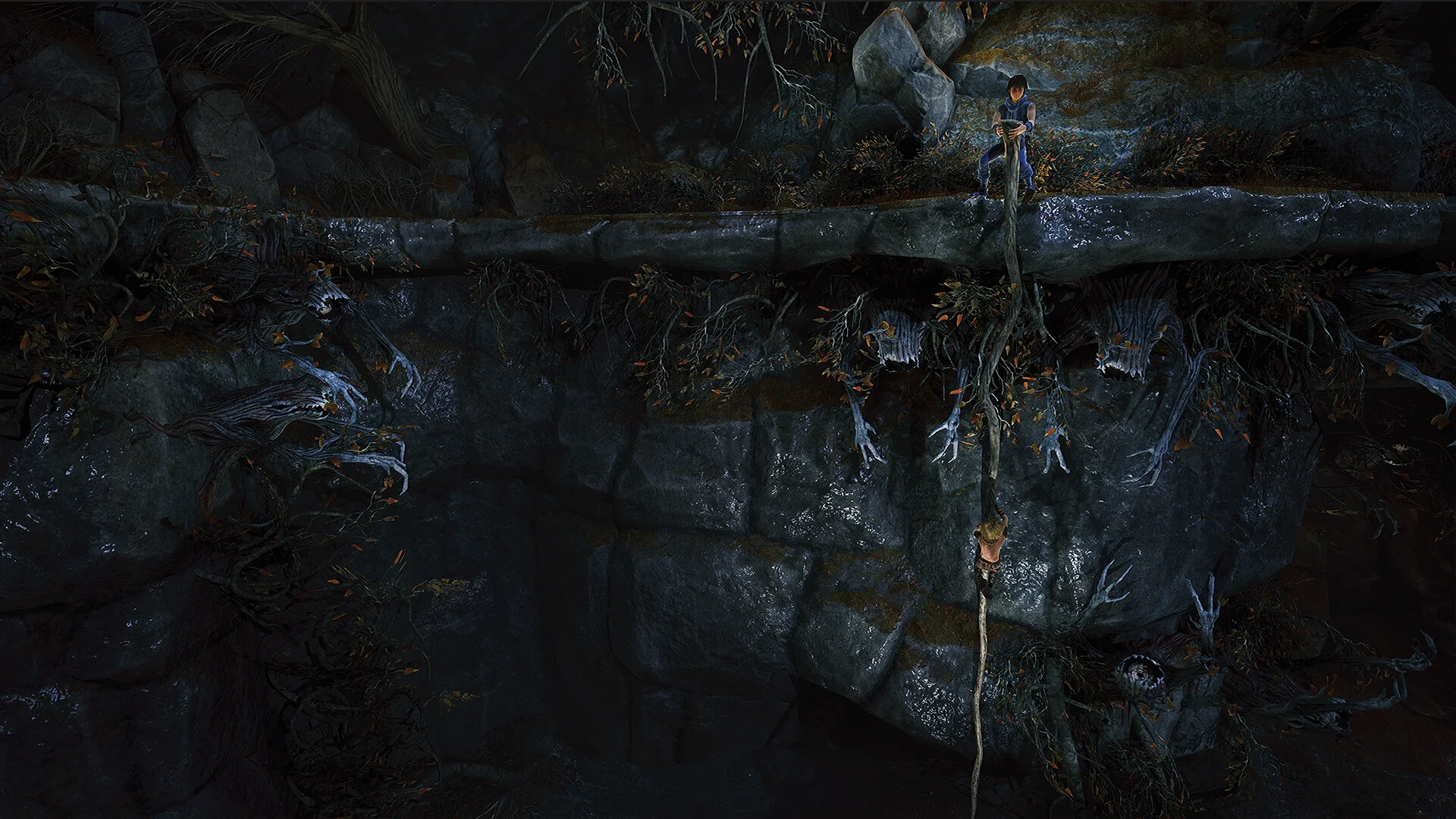 Brothers: A Tale of Two Sons Remake screenshot 9