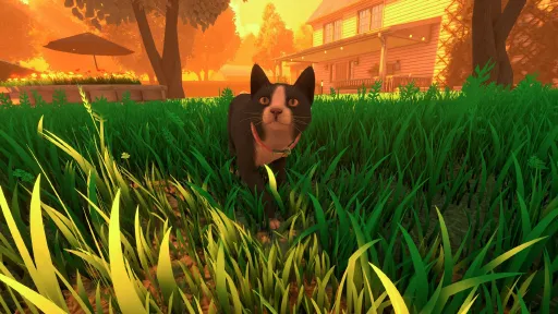 Copycat screenshot 8