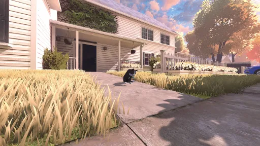 Copycat screenshot 9