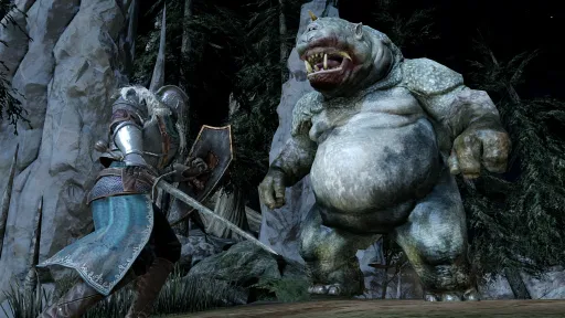 DARK SOULS™ II screenshot 11