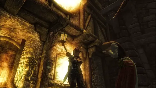 Divinity II: Developer's Cut screenshot 13