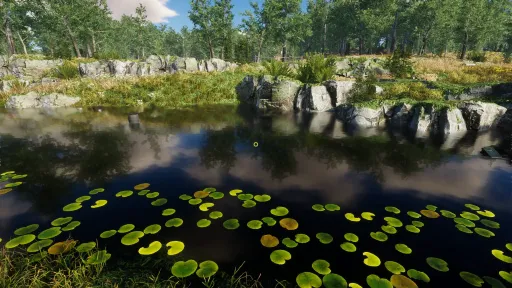 Eco Volunteer screenshot 12