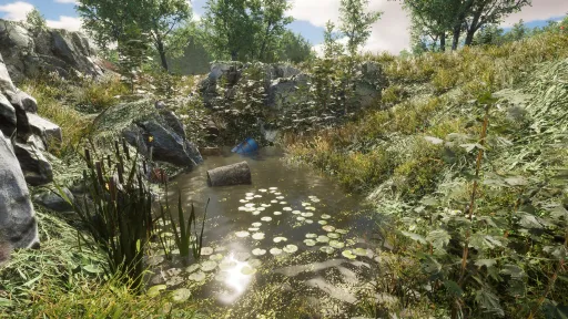 Eco Volunteer screenshot 17