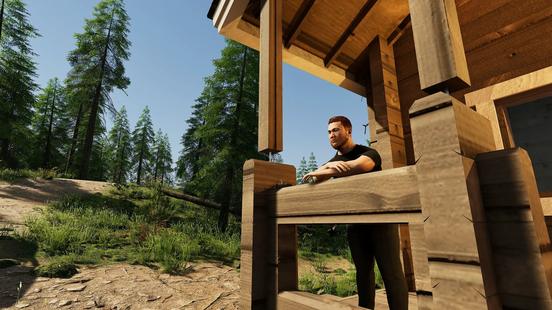 Finnish Cottage Simulator screenshot 7