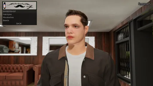 Flatinside Simulator screenshot 6