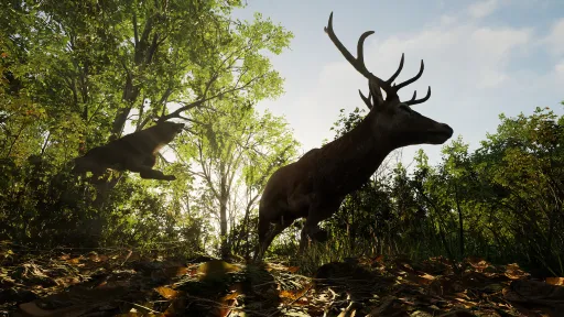 Forest Doesn’t Care screenshot 21