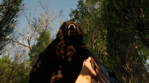 Forest Doesn’t Care screenshot 23