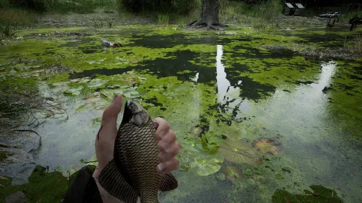 Forest Doesn’t Care screenshot 25