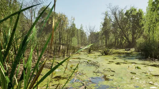 Forest Doesn’t Care screenshot 29