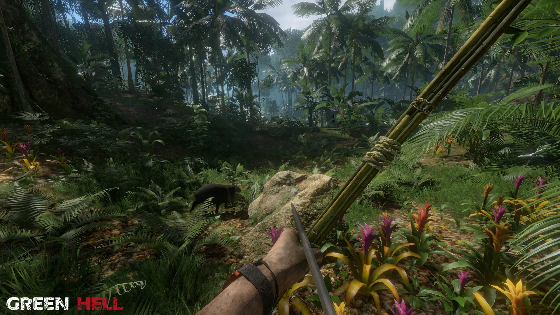 Green Hell screenshot 11