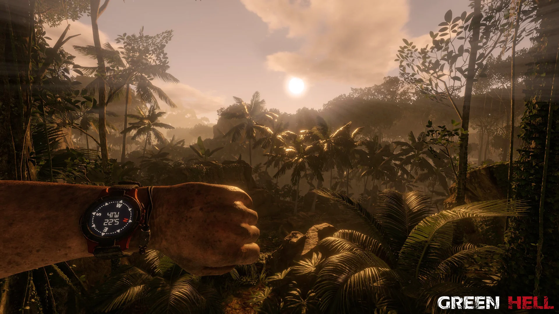 Green Hell screenshot 19