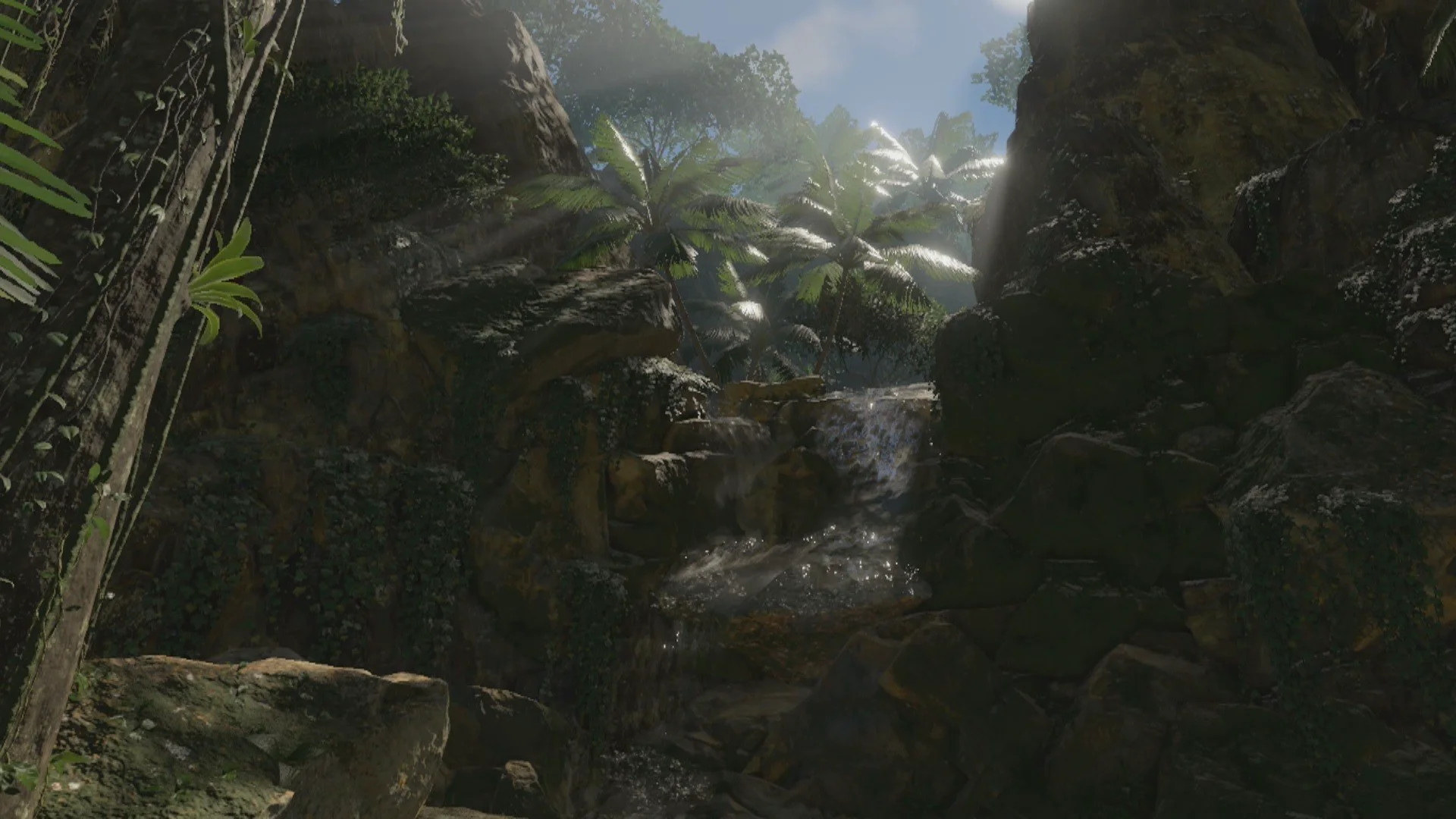 Green Hell VR screenshot 9