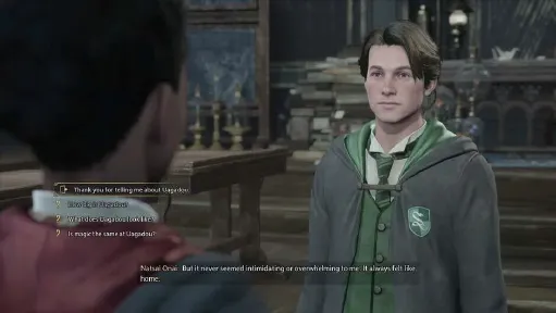 Hogwarts Legacy screenshot 3