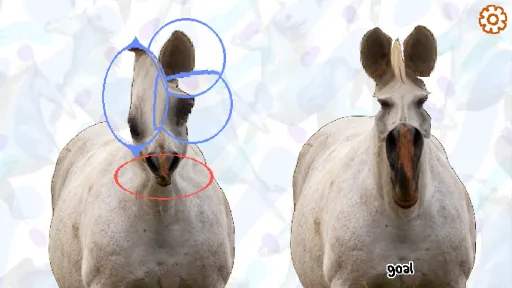 Horse Magnifier: The Full Horse screenshot 3