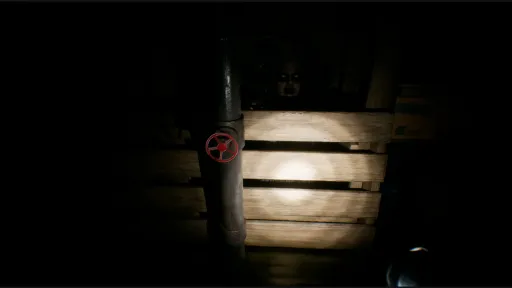 House of Lost Souls screenshot 8