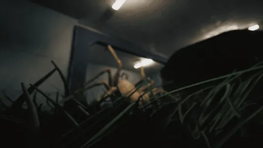 Huntsman screenshot 9