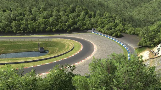 iRacing screenshot 17