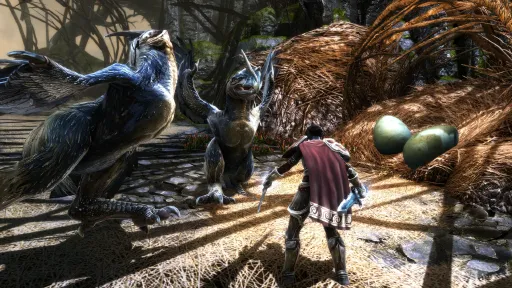 Kingdoms of Amalur: Re-Reckoning screenshot 9