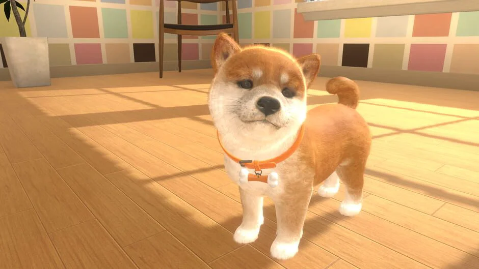 Little Friends: Dogs & Cats screenshot 5
