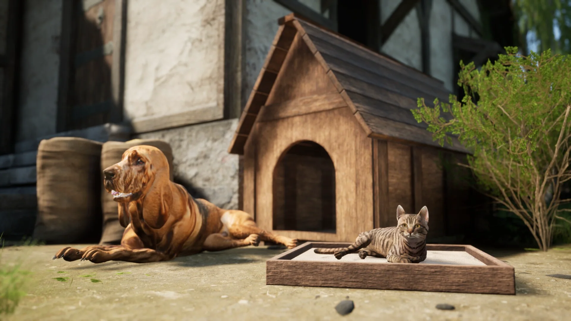Noble Legacy screenshot 3