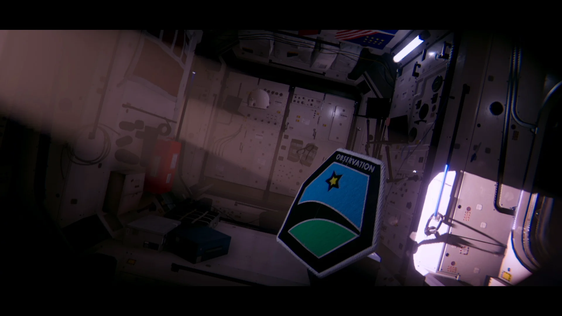Observation screenshot 5