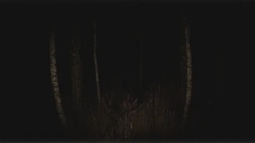 Paranormal VHS screenshot 1
