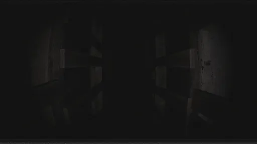 Paranormal VHS screenshot 9