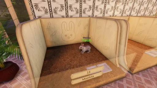 Pets Hotel screenshot 11