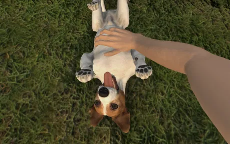 Pets Hotel screenshot 16