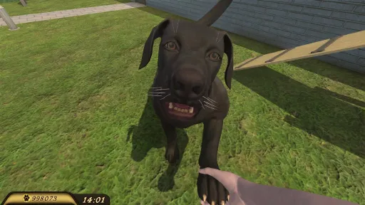 Pets Hotel screenshot 21