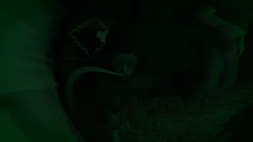 Poop Killer - Flush or Die screenshot 12