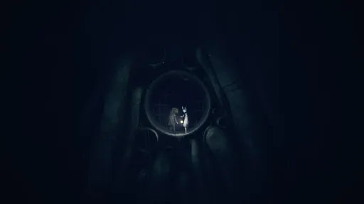 REANIMAL screenshot 12